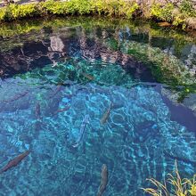 実物も同じ色です