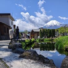 鏡池　手前の木が邪魔で富士山の天辺しか写らない