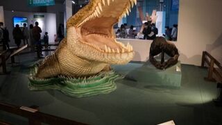 シロナガスクジラのオブジェが外にあります』by とらきのこ2