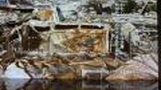 映像を見ることができます