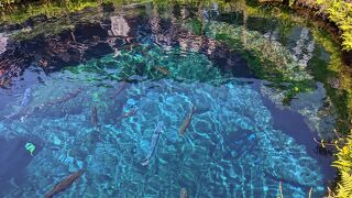 GWの路線バスの遅延情報