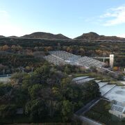 山の斜面に沿った花壇の階段庭園