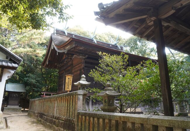 桂濱神社