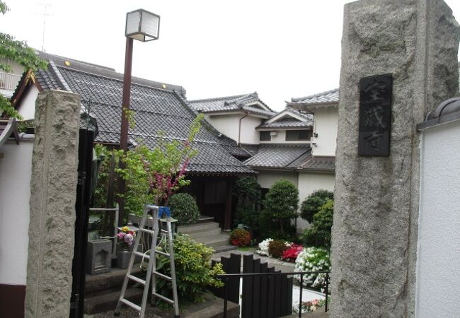 ツツジが美しかったです。