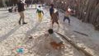 ワイルドビーチ座間