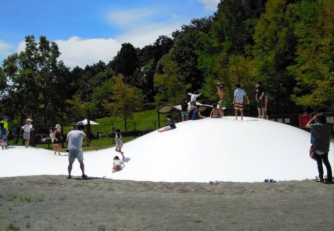 丹沢 大山の公園 植物園 クチコミ人気ランキングtop8 フォートラベル 神奈川県