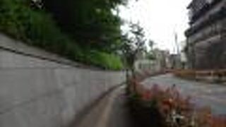 意外とキツイ上り坂です。