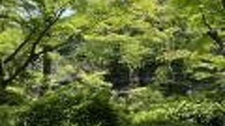 新緑が美しい季節もおすすめです