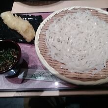 ざるうどんにイカのてんぷらのセット。