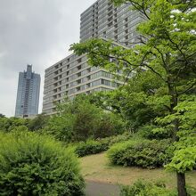 公園内