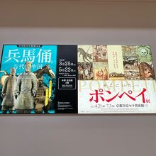 ポンペイ展と兵馬俑展が開催されていました