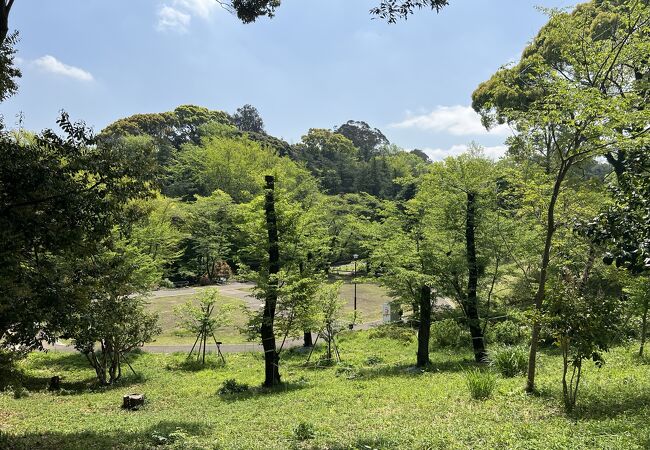 自然豊かな公園