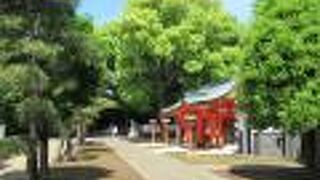 一陽来復のお守りが人気です