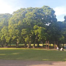 花島公園