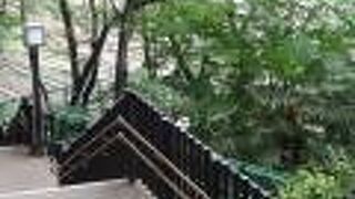 飛鳥山公園から王寺駅南口に行くことができる橋です。