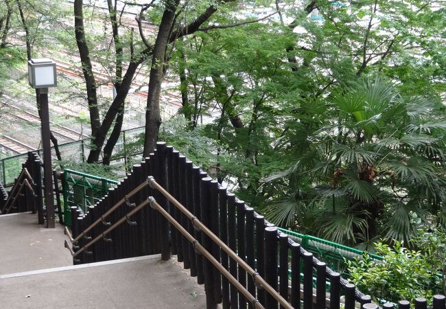 飛鳥山公園から王寺駅南口に行くことができる橋です。