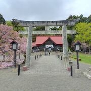 石鳥居の横に見事な桜