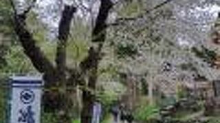 屋台も出て賑やかでした