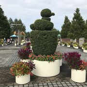 宇治市内の公設植物公園。