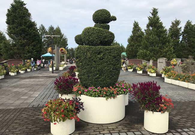 宇治市内の公設植物公園。