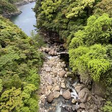 橋の上からは見えず