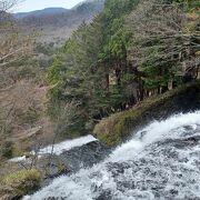 湯滝の上から見学しました。