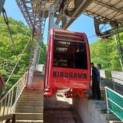 ロープウェイ登った先にはおさるの山があります。