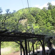 箱根離宮跡地に広がります、広い！