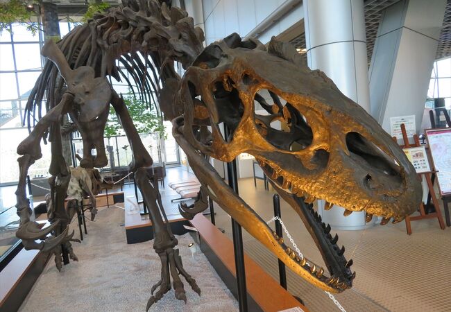 スリーエム仙台市科学館 クチコミ アクセス 営業時間 仙台 フォートラベル スリーエム仙台市科学館 クチコミ アクセス 営業時間 仙台 フォートラベル