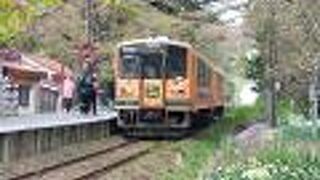 桜と津軽鉄道
