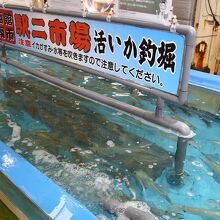 駅二市場のイカ釣り