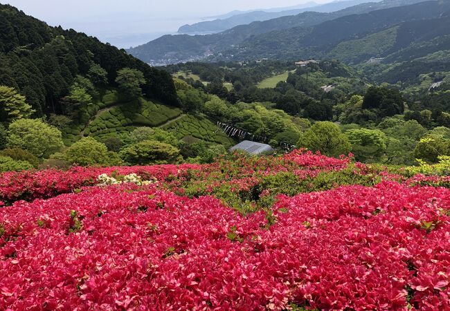 花まつり