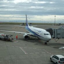 発着は小型機が多い