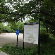 石神井川沿いにある緑地というか、かなり広い公園です。