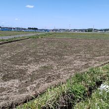 広大な田園は地平線まで続く