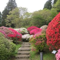 段差も結構あります