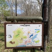 広々とした公園、大沼森林公園