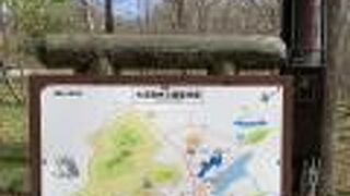 広々とした公園、大沼森林公園