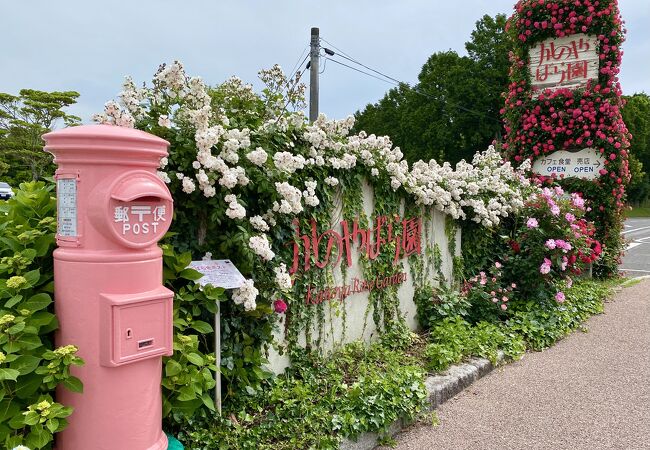 かのやばら園