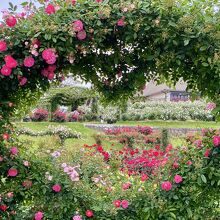 ハートはいくつもあります