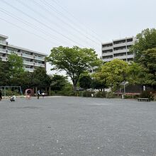 公園内の広場