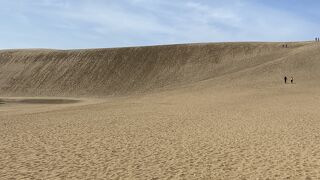 砂丘だぁ