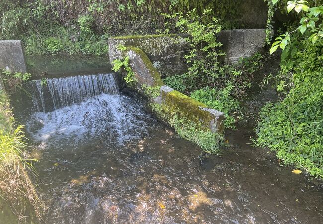 瀬上市民の森を水源とする沢