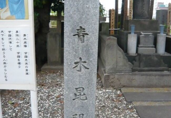 青木昆陽の墓が、目黒の瀧泉寺の墓域にあります。本堂から少し離れた場所になります。
