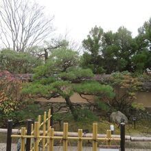 よく手入れされています