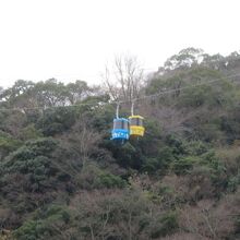 ブルーと黄色のツートンカラーです