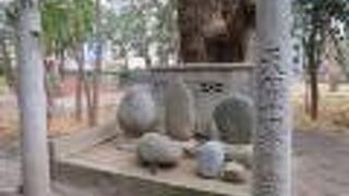 境内の奥にあります