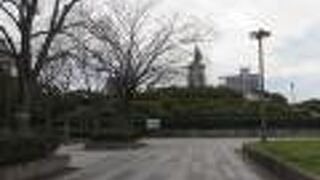 敷地面積は広いです