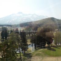 ７階からの景色