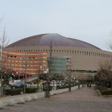 ここからだと屋根がよく見えます
